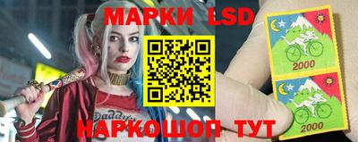 jwh Новозыбков