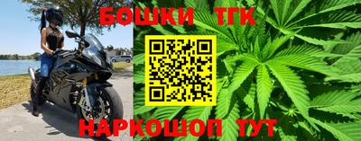 jwh Новозыбков