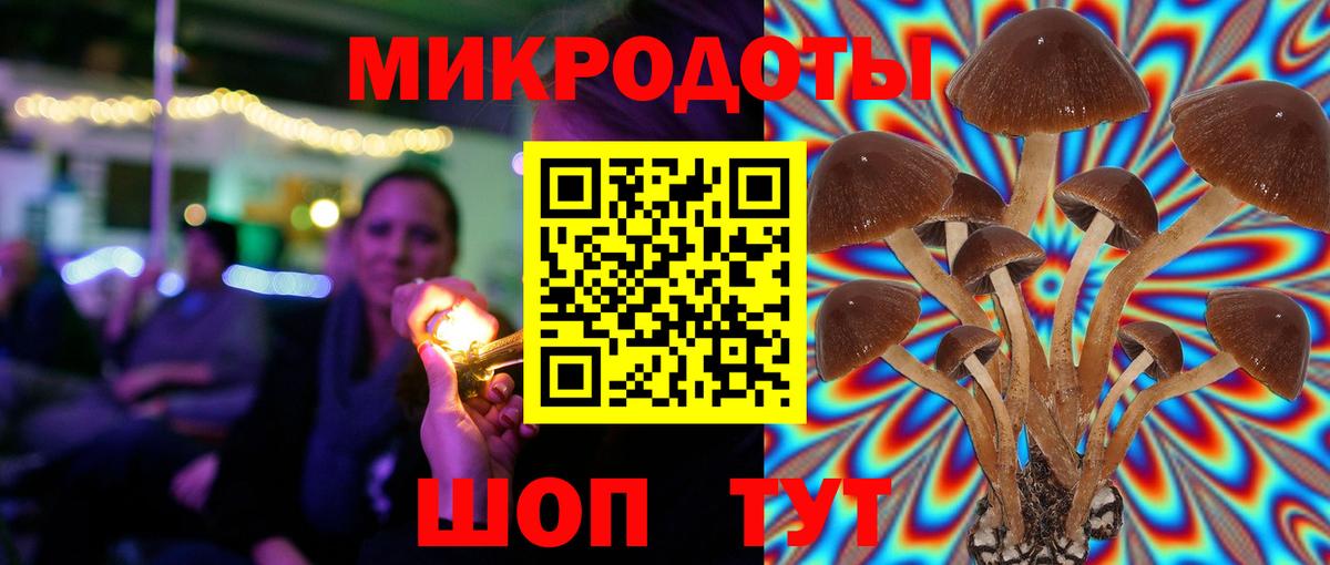 Галлюциногенные грибы GOLDEN TEACHER Тимашёвск